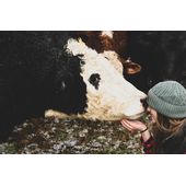 Контроль качества зерна частными фермерами - залог успешного будущего