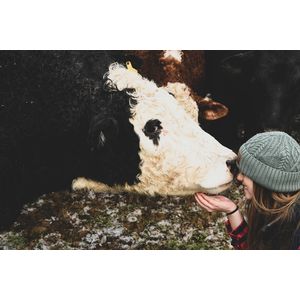 Контроль качества зерна частными фермерами - залог успешного будущего